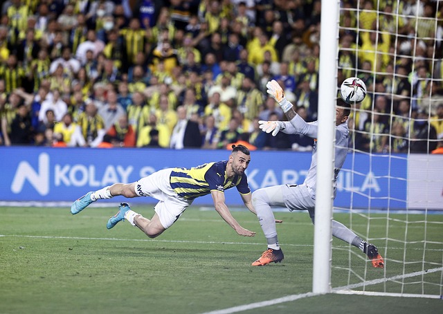 劣势而退缩 劣势而退缩