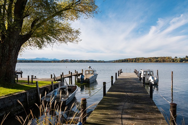 社会的一部 社会的一部